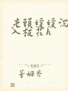 老头缓缓沉腰进入校花h