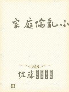 家庭伦乱小说