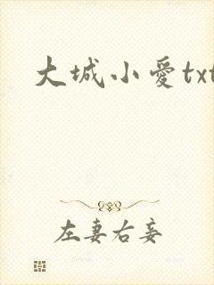 大城小爱txt