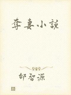 夺妻小说