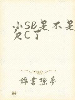 小SB是不是又欠C了