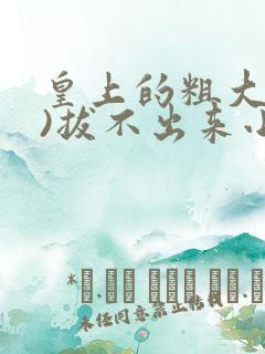 皇上的粗大(h)拔不出来小说