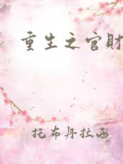重生之官财人生
