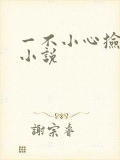 一不小心捡到爱小说