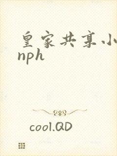 皇家共享小公主nph