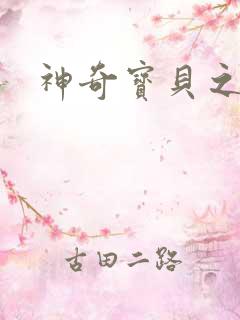 神奇宝贝之小洛