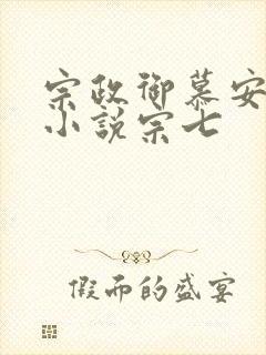 宗政御慕安安的小说宗七