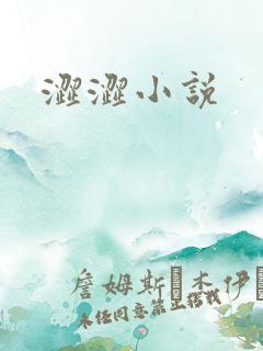 涩涩小说