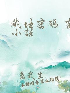 藏地密码 有声小说