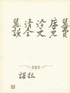 慕清泠席慕深小说全文免费阅读