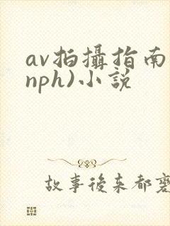 av拍摄指南(nph)小说