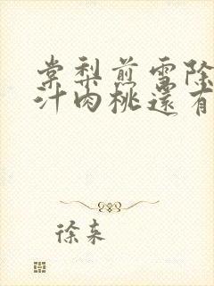 棠梨煎雪除了蜜汁肉桃还有什么肉