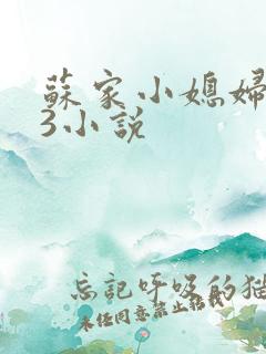 苏家小媳妇1V3小说