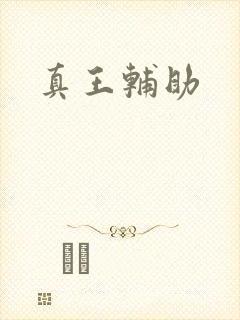 真王辅助