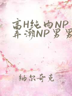 高H纯肉NP 弄潮NP男男