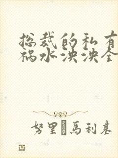 总裁的私有宝贝祸水泱泱全文阅读