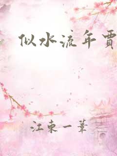 似水流年贾二虎