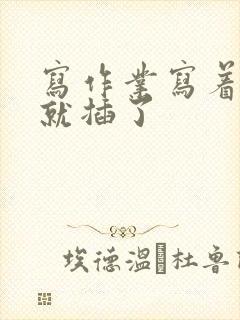 写作业写着写着就插了