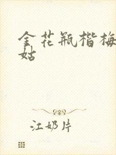 金花瓶楷梅花尼姑