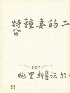 特种妻的二手老公