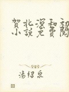 贺北溟和初夏的小说免费阅读无弹窗