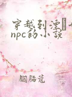 穿越到湮婸世界npc的小说