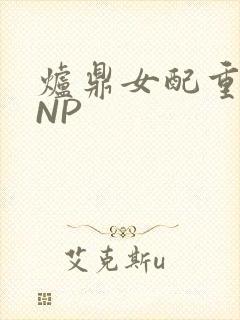 炉鼎女配重生之NP