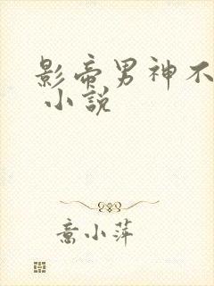 影帝男神不节制 小说