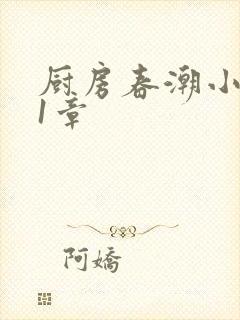 厨房春潮小说第1章