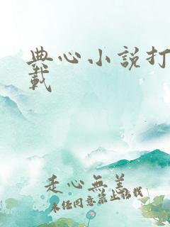 典心小说打包下载