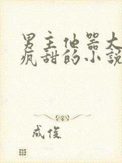 男主他器大活好疯甜的小说