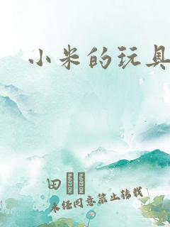 小米的玩具日记