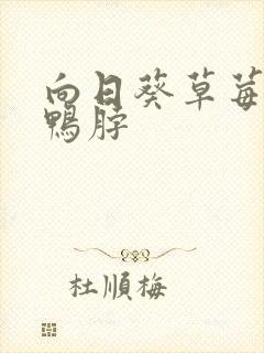 向日葵草莓丝瓜鸭脖