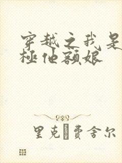 穿越之我是皇太极他额娘