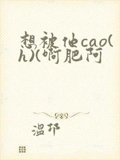 想被他cao(h)(啊肥阿