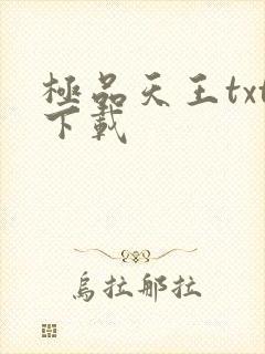 极品天王txt下载