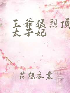 王爷猛烈顶弄H太子妃