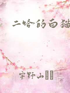 二哈的白猫师尊