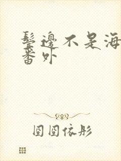 鬓边不是海棠红番外