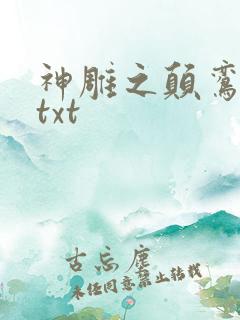 神雕之颠鸾倒凤txt