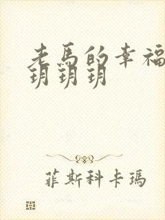 老马的幸福生活玥玥玥