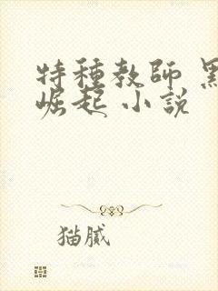 特种教师 黑暗崛起 小说