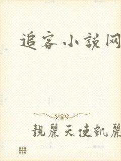 追客小说网