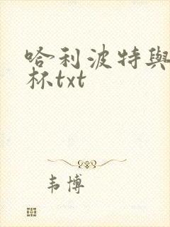 哈利波特与火焰杯txt