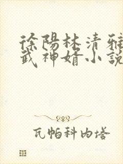 徐阳林清雅绝世武神婿小说