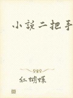 小说二把手