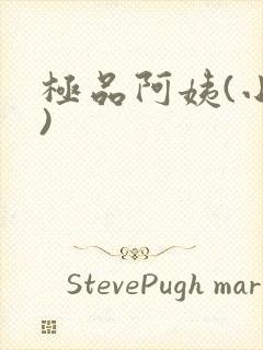 极品阿姨(小说)