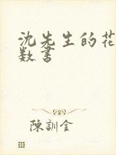 沈先生的花式调数书