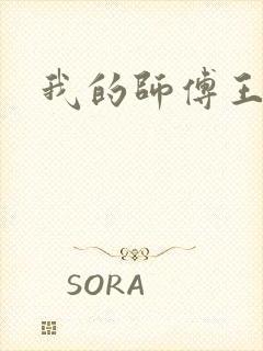 我的师傅王语嫣