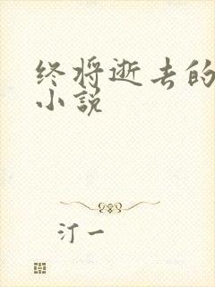 终将逝去的青春小说